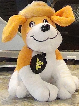 close up of plush toy dog